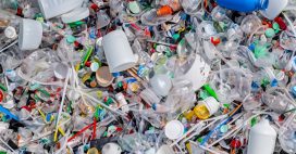 Plastique : un traité mondial à Busan (Corée du Sud) ou un échec annoncé ?