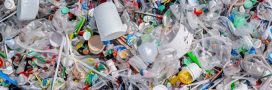 Plastique : un traité mondial à Busan (Corée du Sud) ou un échec annoncé ?