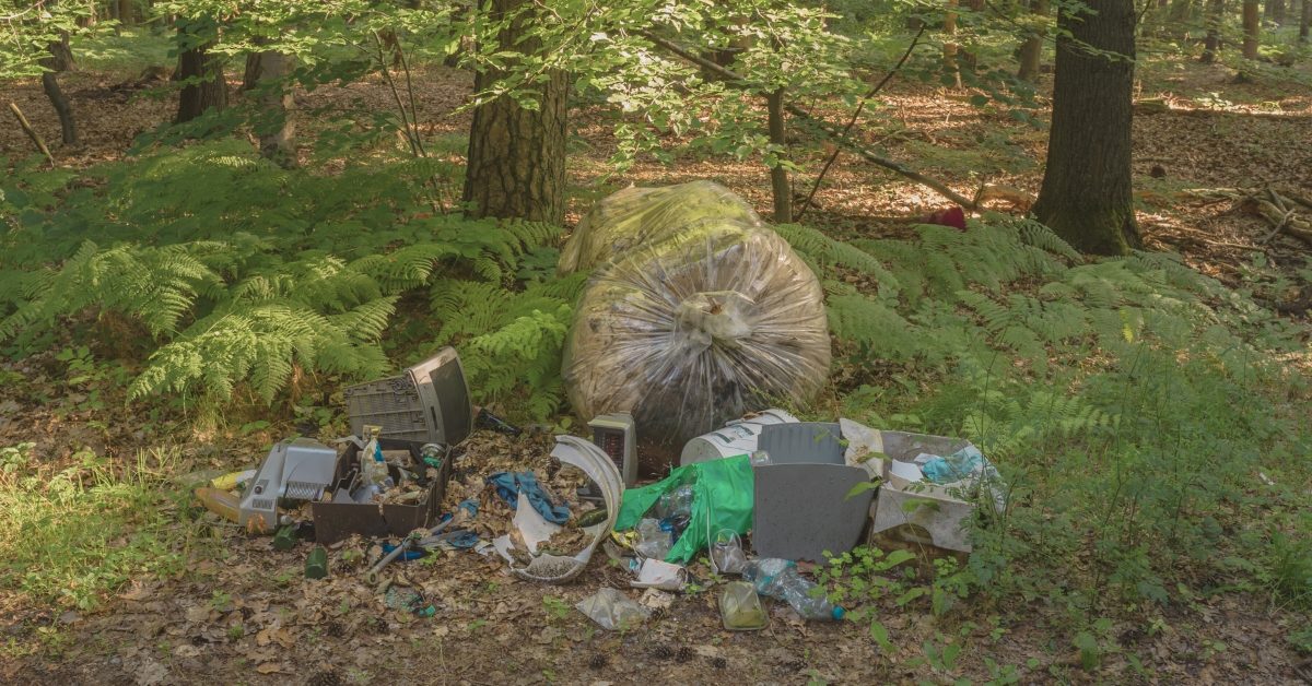 Déchets sauvages : quels sont les plus communs ?