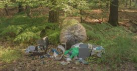 Déchets sauvages : quels sont les plus communs ?