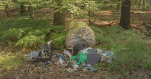 Déchets sauvages : quels sont les plus communs ?