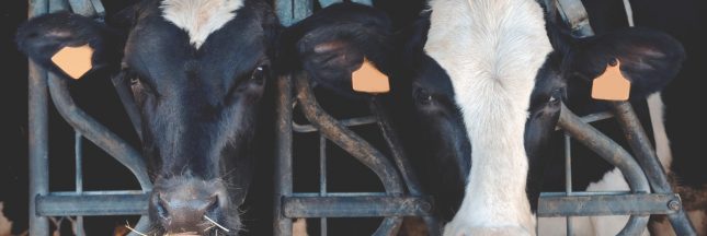 L’accord UE-Mercosur provoque la colère des agriculteurs ?