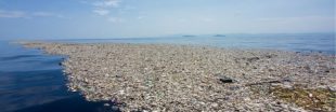 Le Continent de plastique ne cesse de s'étendre