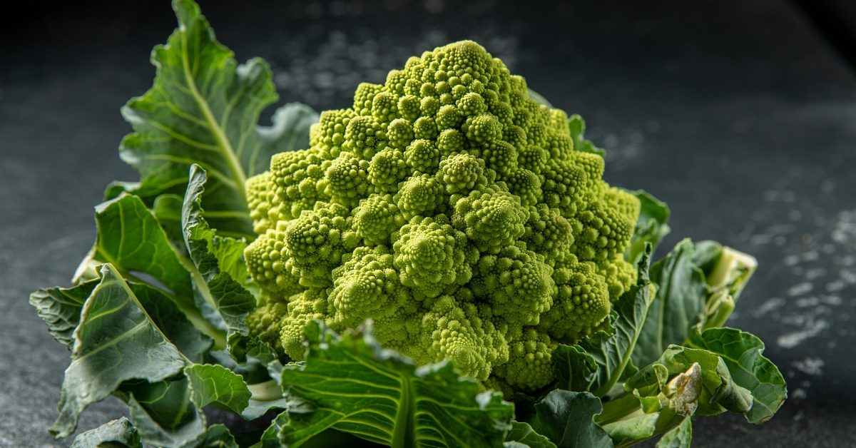 Le chou romanesco, des siècles d’évolution génétique pour sa forme fractale