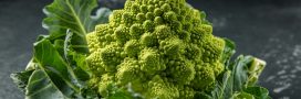 Le chou romanesco, des siècles d'évolution génétique pour sa forme fractale