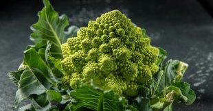 Le chou romanesco, des siècles d'évolution génétique pour sa forme fractale