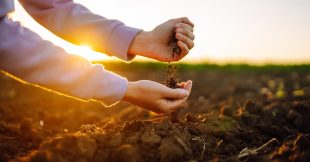 Agriculture : les sols français sont pollués par les microplastiques