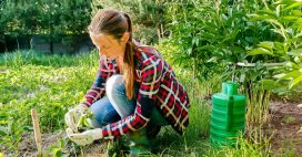 Profitez de 1 500 euros d’aides pour entretenir votre jardin