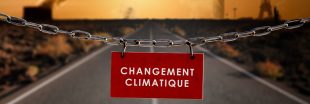 Le nouveau plan national d'adaptation au changement climatique : ce qu'il faut savoir